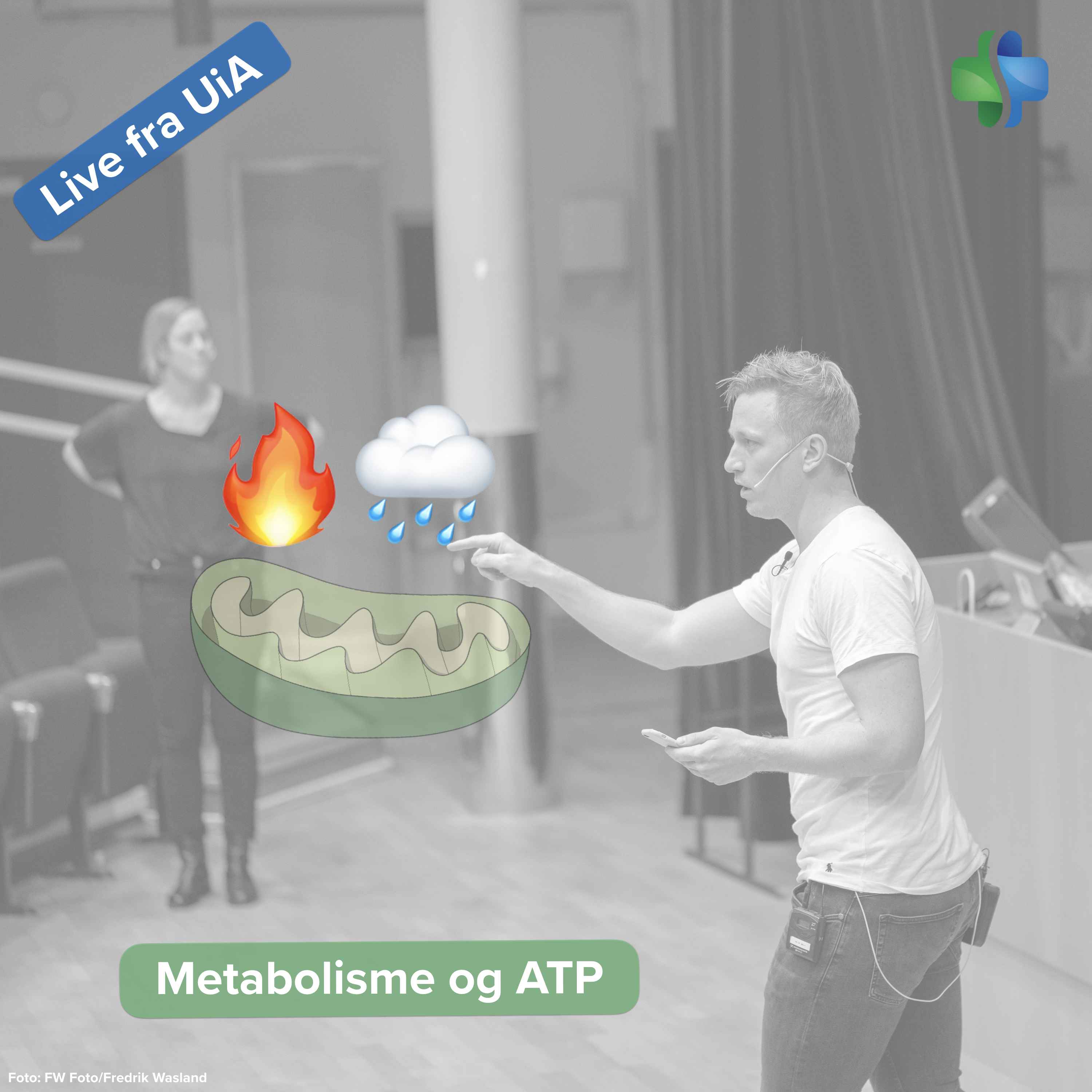 Metabolisme, ATP og fire to the rain (forelesning ved Universitetet i Agder)