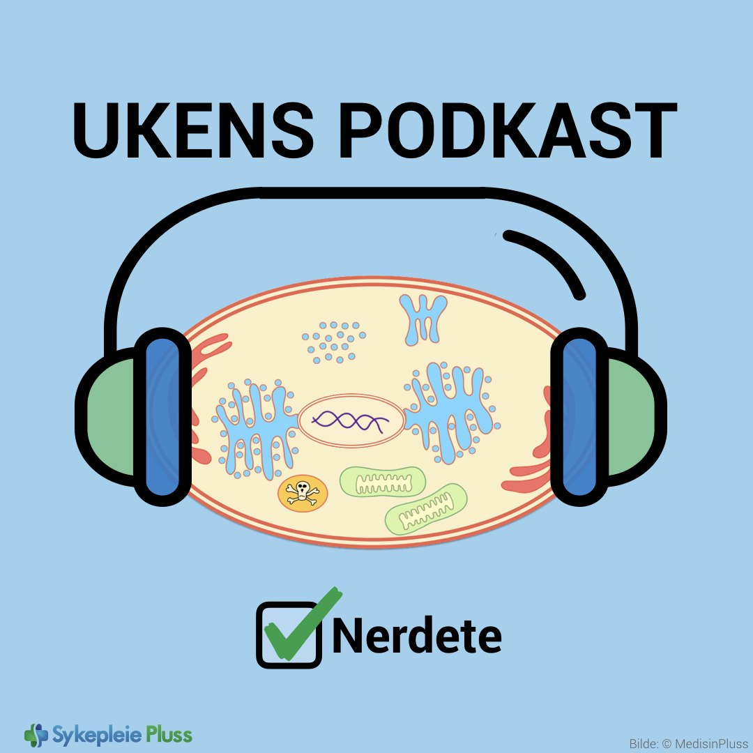 Introduksjon til cellen