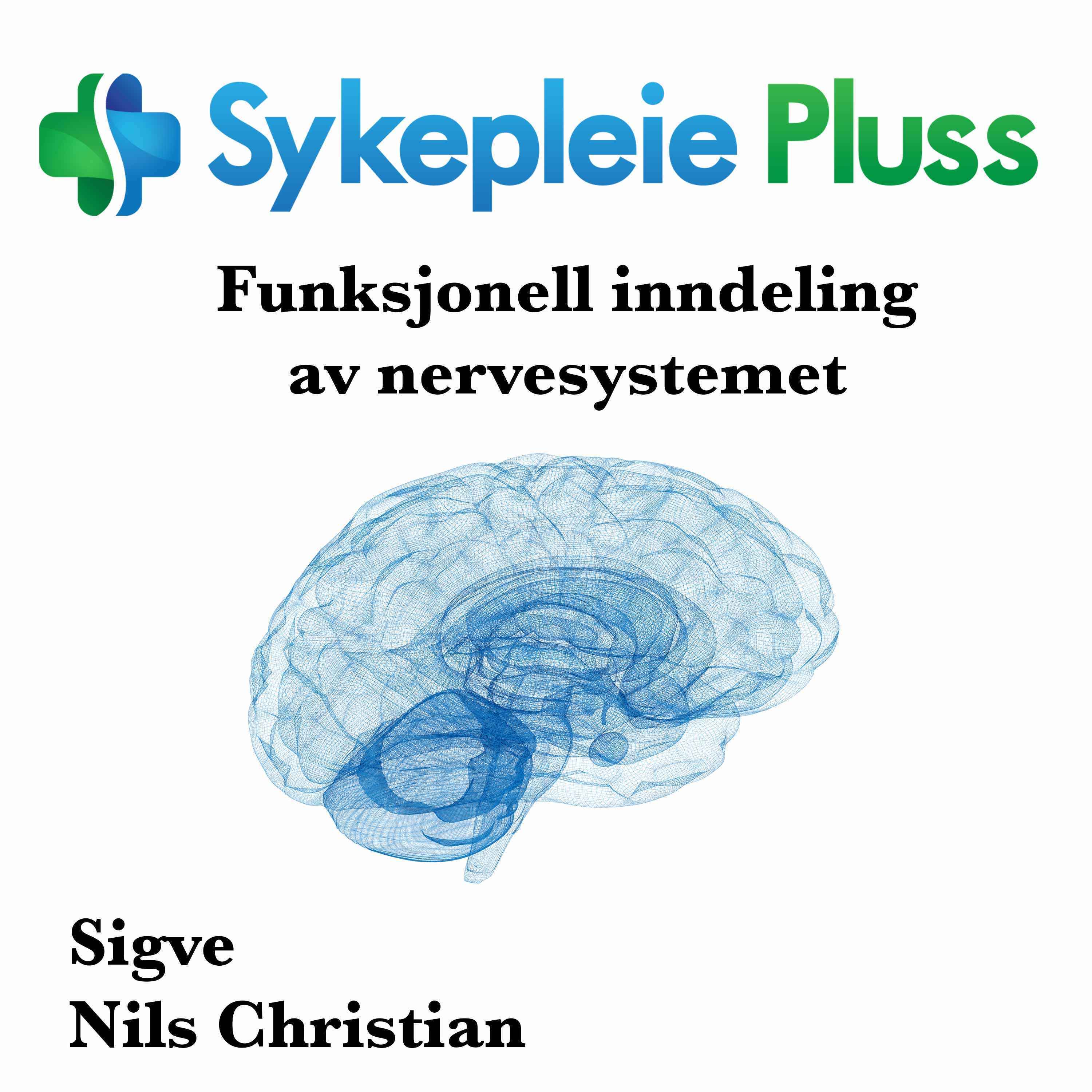 Funksjonell inndeling av nervesystemet